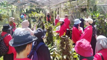 Sejumlah mahasiswa mengenakan jaket almamater merah mengikuti kegiatan edukasi di area konservasi tanaman Kebun Raya Enrekang.