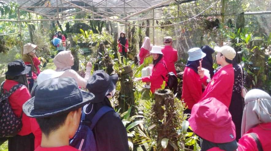 Sejumlah mahasiswa mengenakan jaket almamater merah mengikuti kegiatan edukasi di area konservasi tanaman Kebun Raya Enrekang.