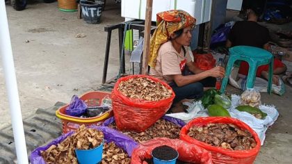 Penjualan pangi Toraja di Pasar Rakyat Bolu Toraja Utara yang sepi pembeli