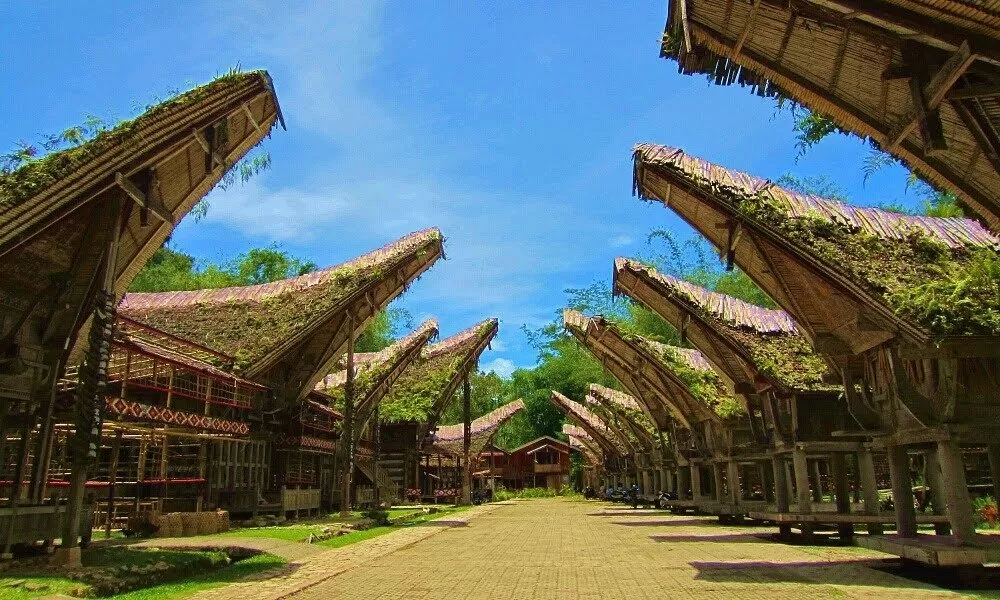 Rumah adat Tongkonan di Desa Kete Kesu, Toraja Utara