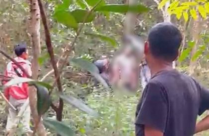 Siluet pohon di pagi hari dengan latar dramatis, melambangkan kasus bunuh diri gantung diri Luwu.